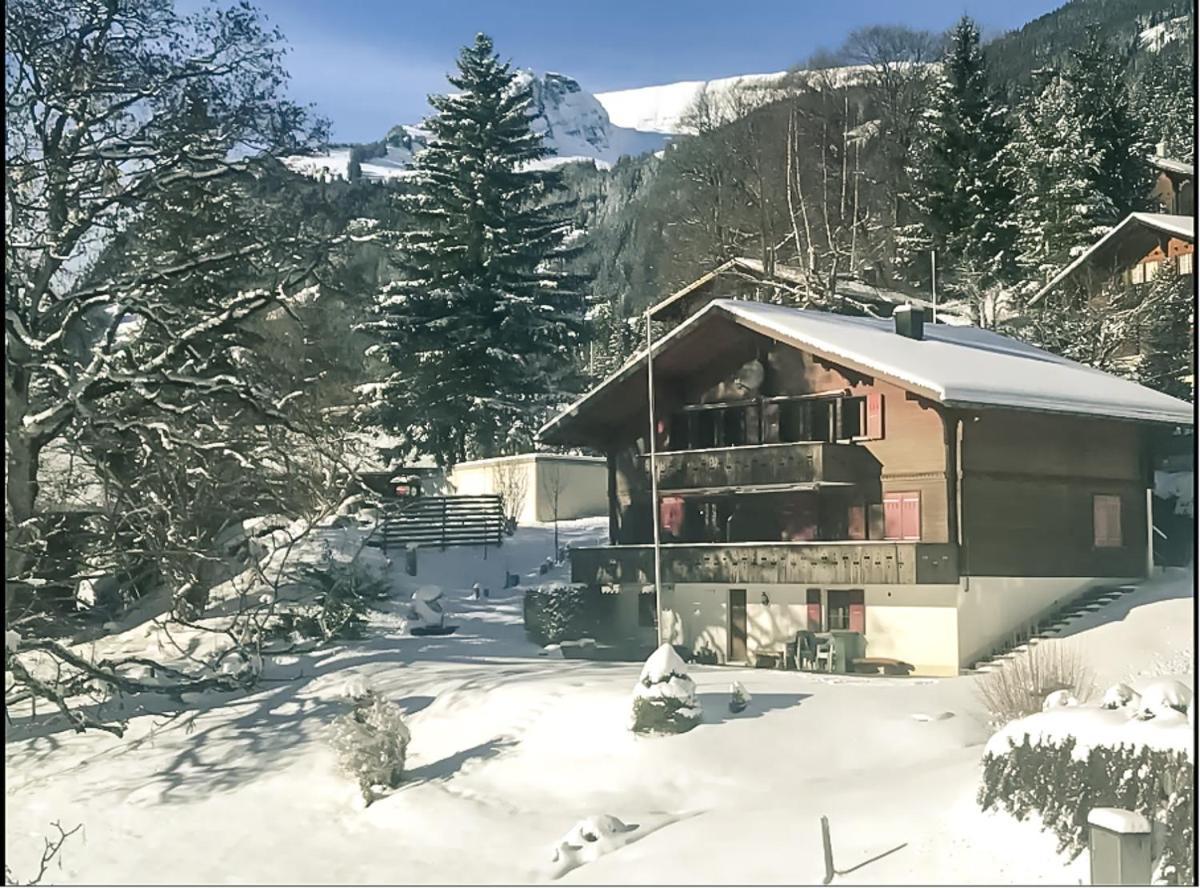 Bussalp Apartment - Aare Jungfrau Ag Grindelwald Ngoại thất bức ảnh