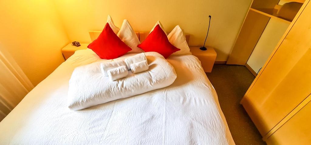 Bussalp Apartment - Aare Jungfrau Ag Grindelwald Ngoại thất bức ảnh
