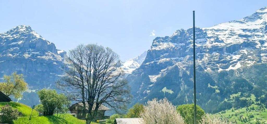 Bussalp Apartment - Aare Jungfrau Ag Grindelwald Ngoại thất bức ảnh