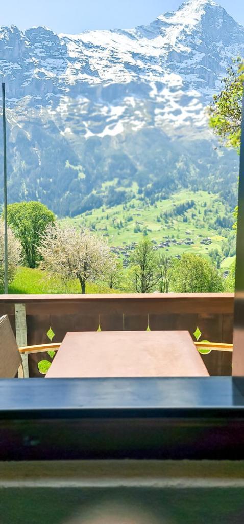 Bussalp Apartment - Aare Jungfrau Ag Grindelwald Ngoại thất bức ảnh